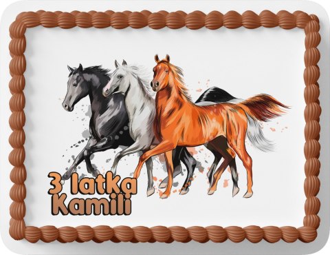 PROSTOKĄTNY OPŁATEK NA TORT A4 20x29CM - KONIE KOŃ HOBBY + IMIĘ GRATIS PROSTOKĄTNY OPŁATEK NA TORT A4 20x29CM - KONIE KOŃ HOBBY + IMIĘ GRATIS