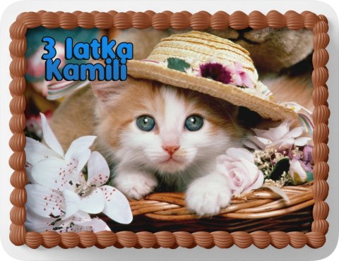 PROSTOKĄTNY OPŁATEK NA TORT A4 20x29CM - KOTEK KOTKI KOT + IMIĘ GRATIS PROSTOKĄTNY OPŁATEK NA TORT A4 20x29CM - KOTEK KOTKI KOT + IMIĘ GRATIS