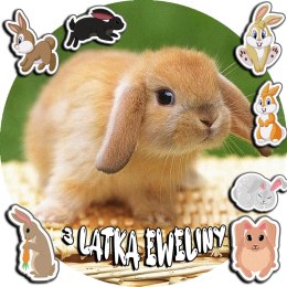 OPŁATEK NA TORT 30CM - KRÓLIKI KRÓLIK + IMIĘ + GRATIS! 24CM 26C2