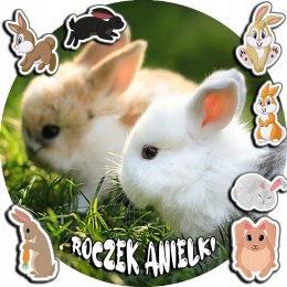 OPŁATEK NA TORT 30CM - KRÓLIKI KRÓLIK + IMIĘ + GRATIS! 24CM 26CM